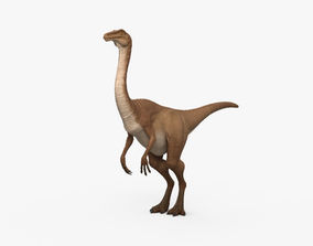 Detail Meerkat 3d Model Nomer 12