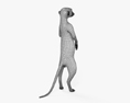 Detail Meerkat 3d Model Nomer 13