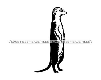 Detail Meerkat 3d Model Nomer 17