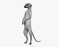 Detail Meerkat 3d Model Nomer 7