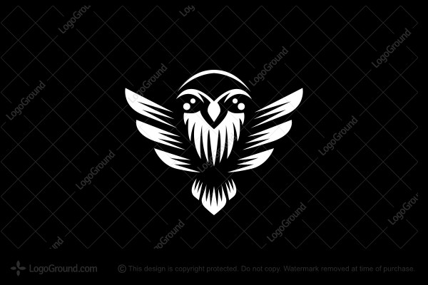 Detail Logo Owl Keren Nomer 20