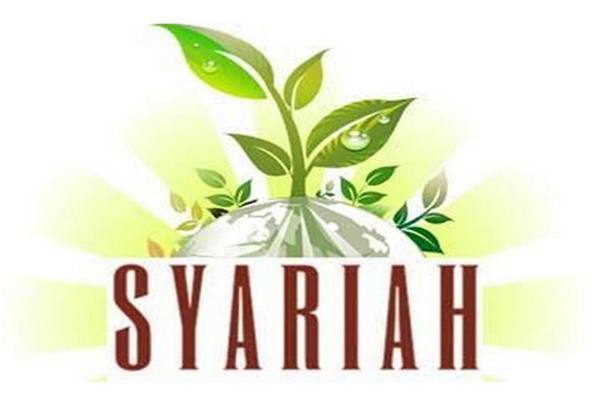 Detail Logo Pasar Modal Syariah Nomer 15