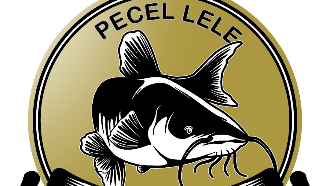 Detail Logo Pecel Lele Nomer 28