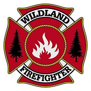 Detail Logo Pemadam Kebakaran Dunia Nomer 37