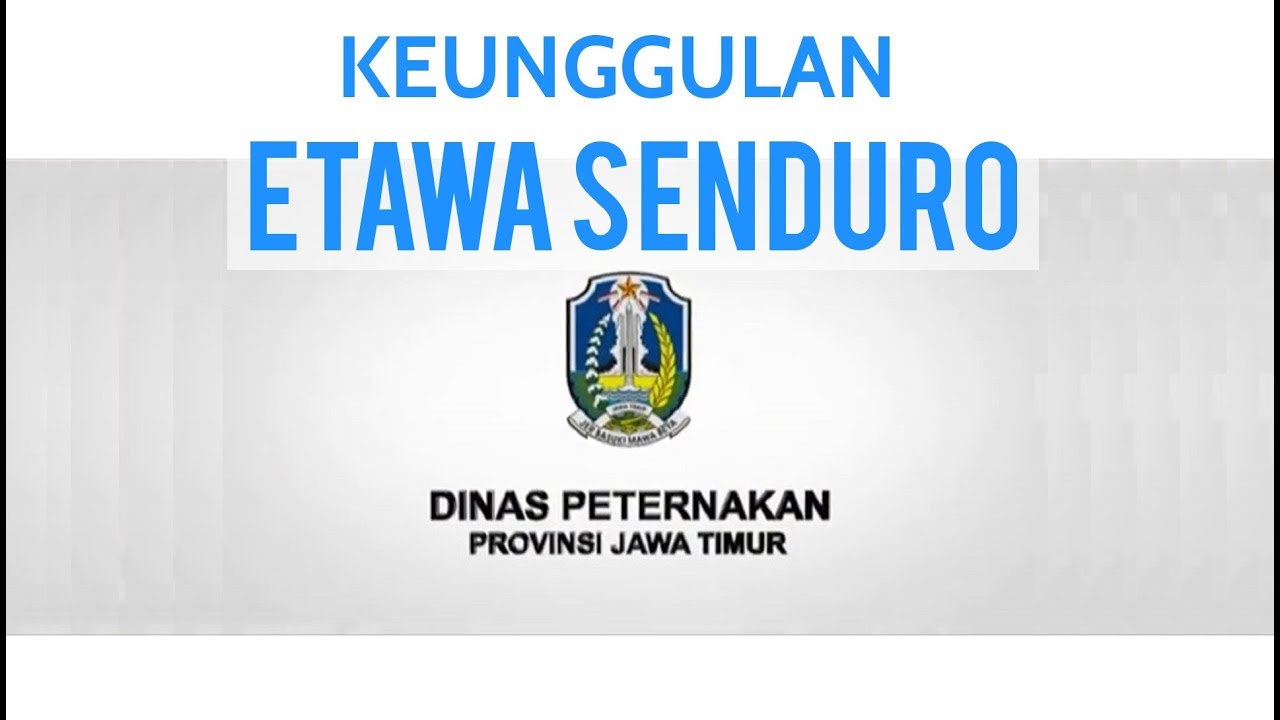 Detail Logo Pemerintah Provinsi Jawa Timur Nomer 22