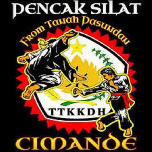 Detail Logo Pencak Silat Cimande Nomer 7