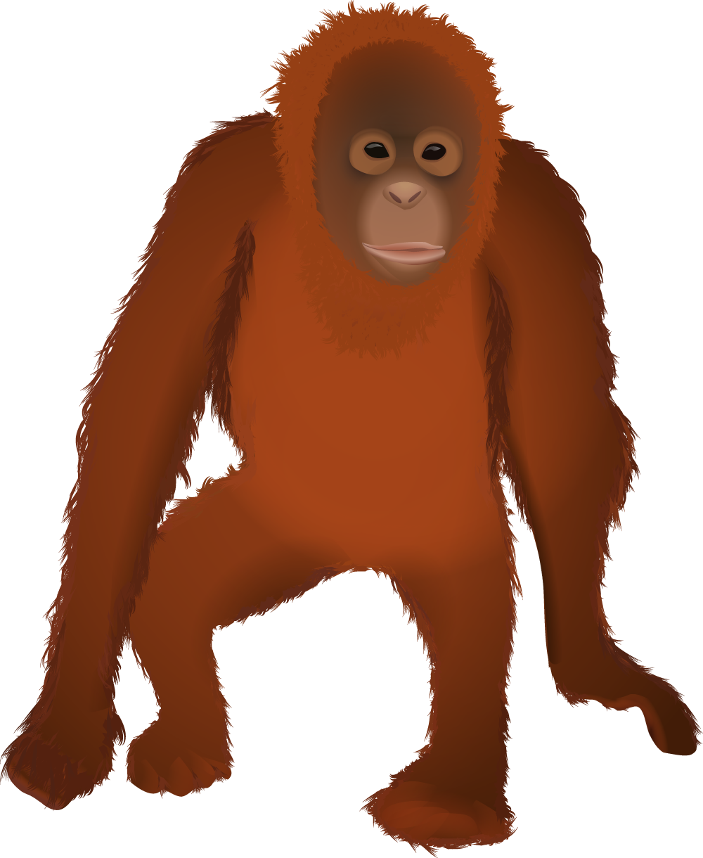 Detail Orang Utan Clipart Nomer 19