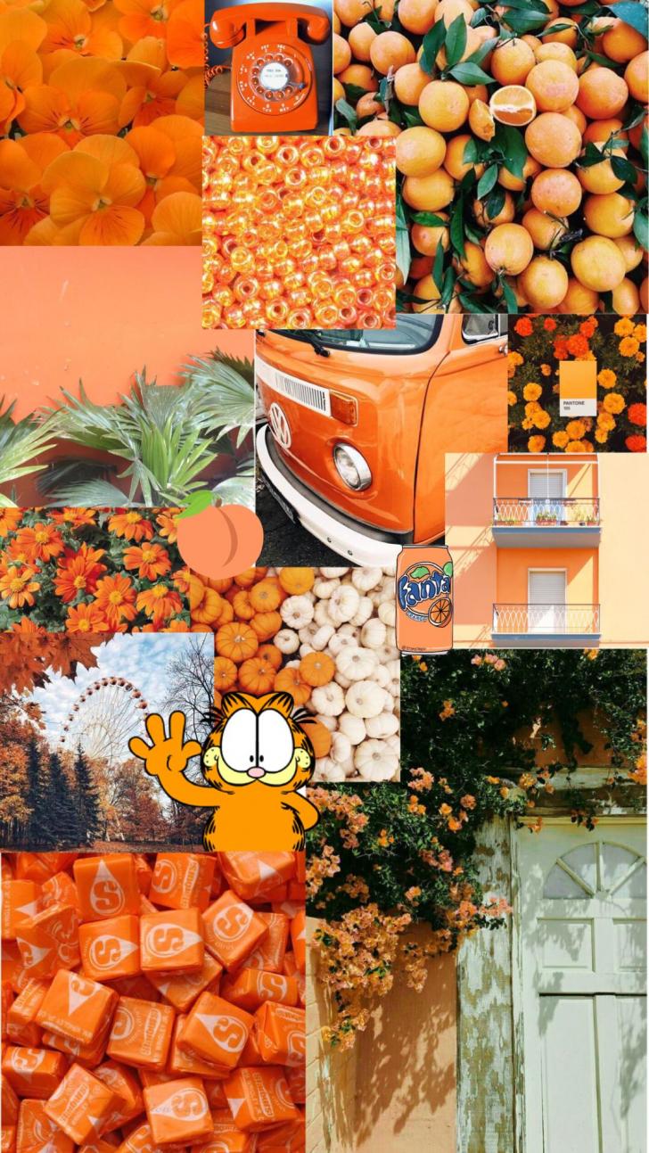 Detail Orange Background Tumblr Nomer 38