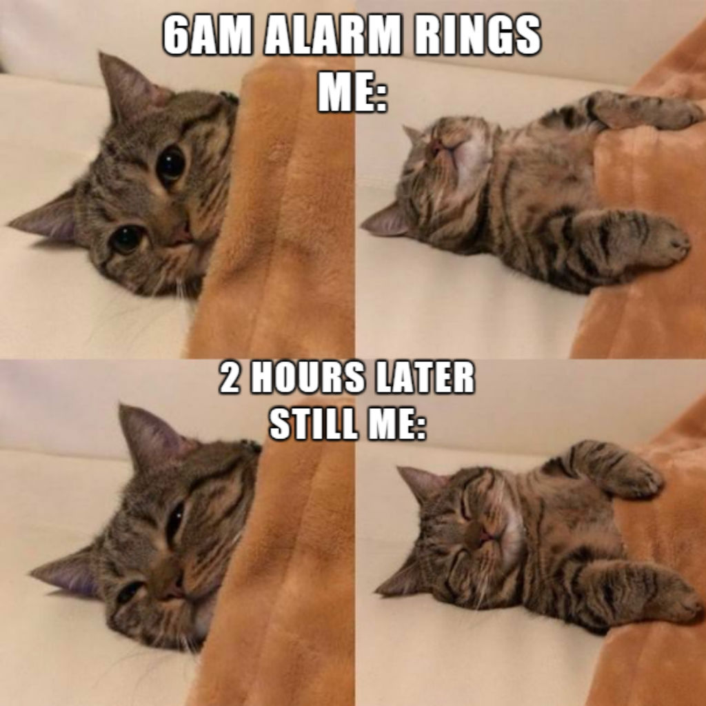 Download Orange Cat Meme Nomer 54