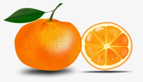 Detail Orange Clipart Png Nomer 52