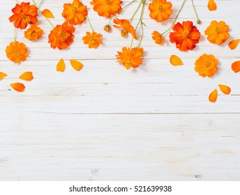 Detail Orange Flower Background Nomer 15