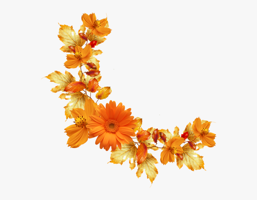 Detail Orange Flower Png Nomer 4