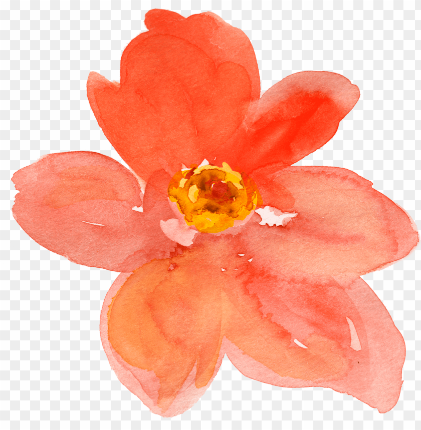 Detail Orange Flower Png Nomer 40