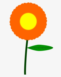 Detail Orange Flower Png Nomer 56
