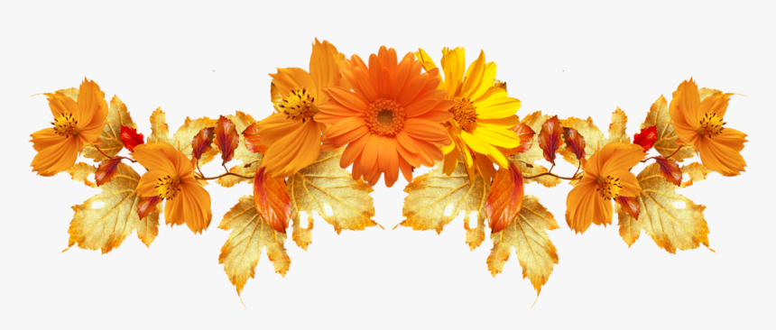 Detail Orange Flower Png Nomer 9