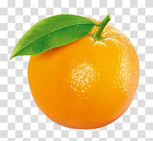 Detail Orange Fruit Background Nomer 35