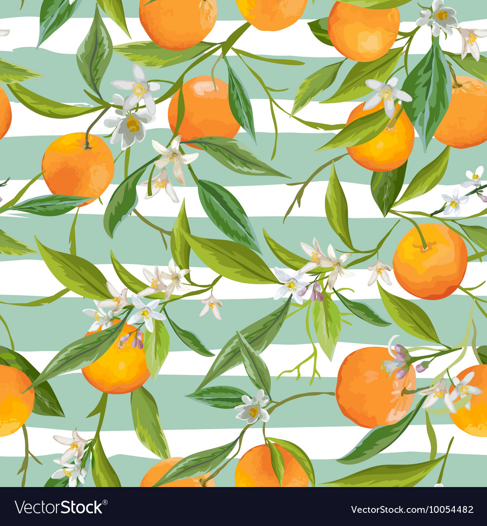 Detail Orange Fruit Background Nomer 37