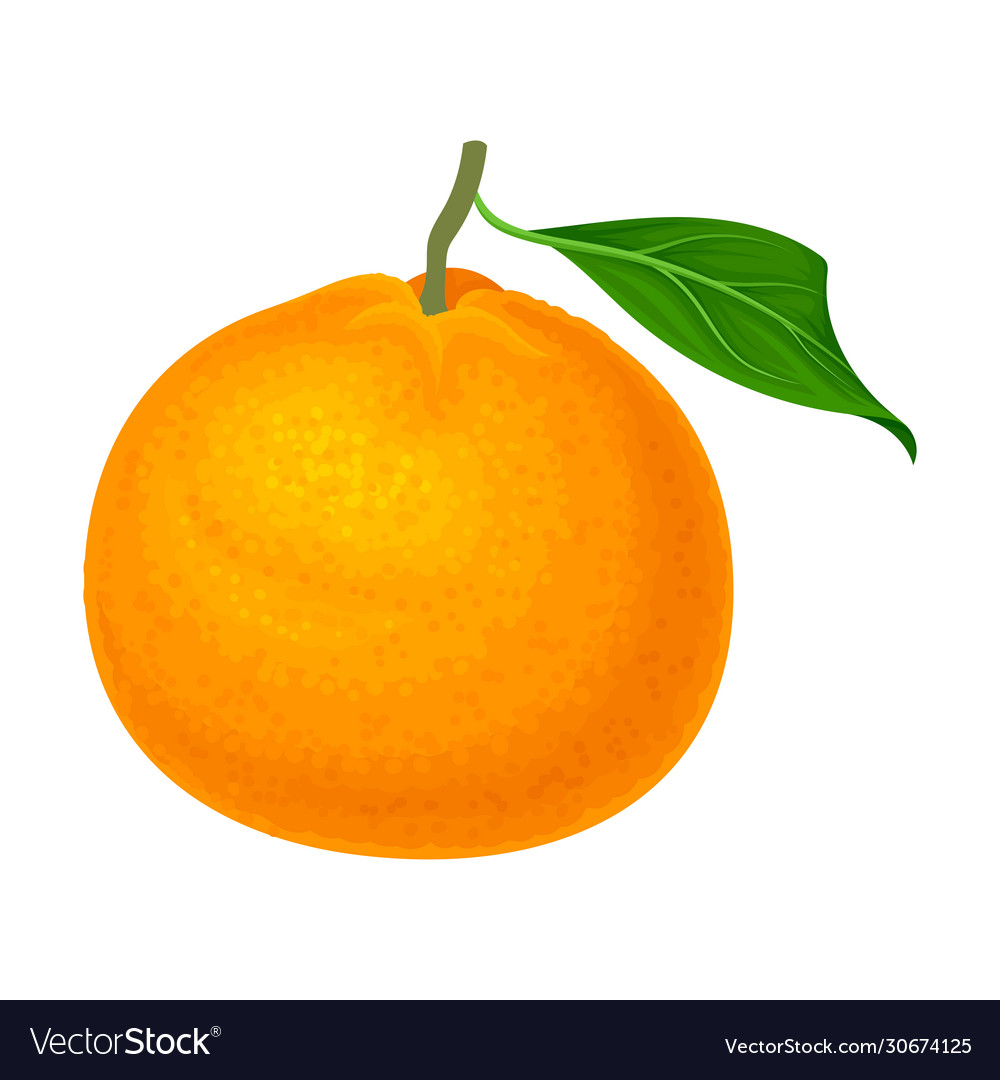 Detail Orange Fruit Background Nomer 45