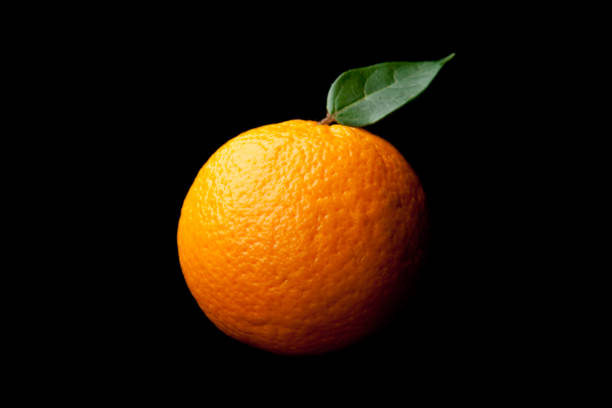 Detail Orange Fruit Background Nomer 49