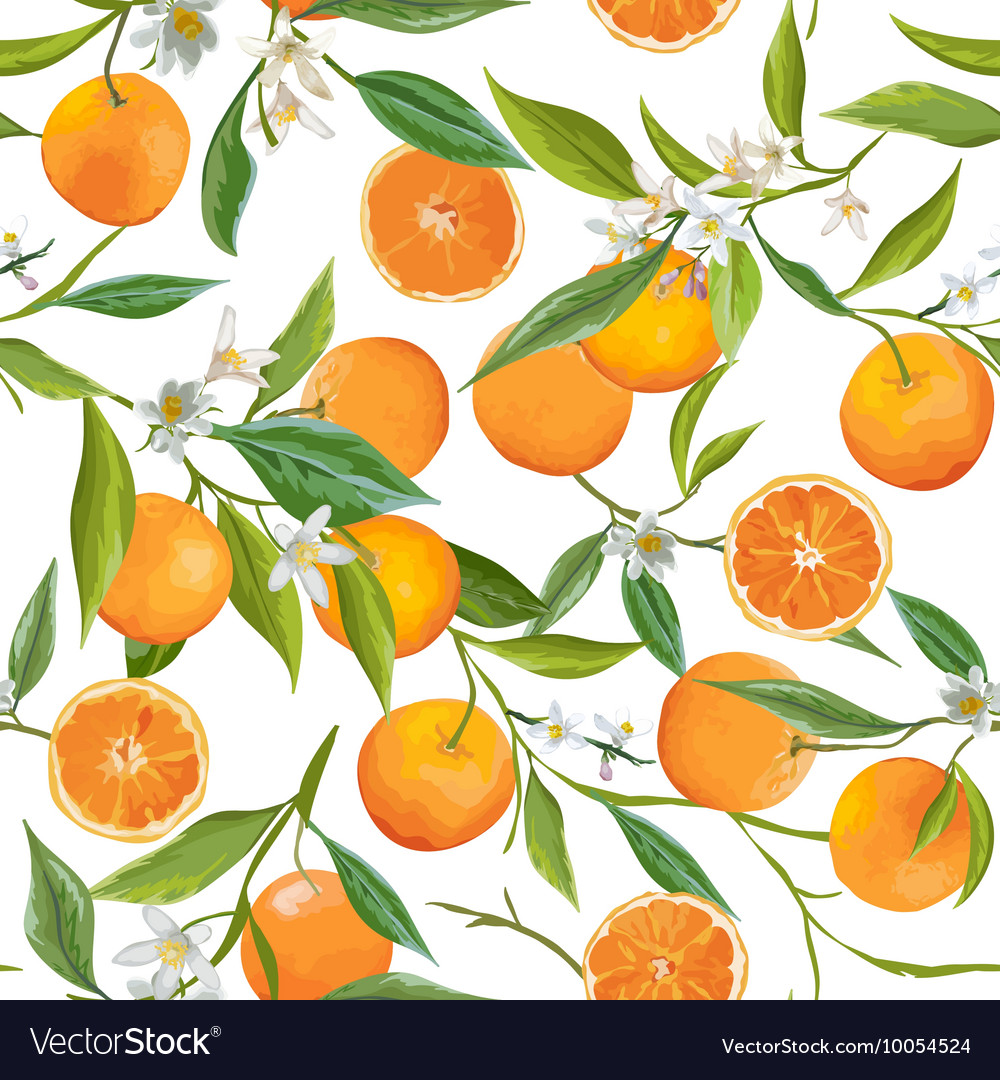 Detail Orange Fruit Background Nomer 54