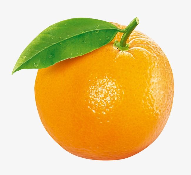 Orange Fruit Clipart - KibrisPDR