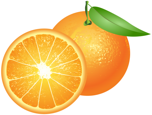 Detail Orange Fruit Clipart Nomer 10