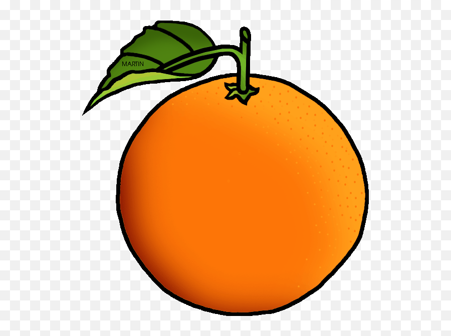 Detail Orange Fruit Clipart Nomer 11