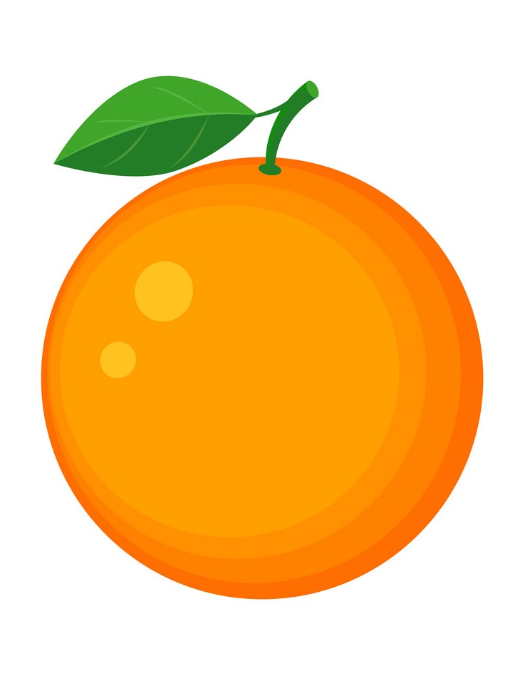 Detail Orange Fruit Clipart Nomer 12