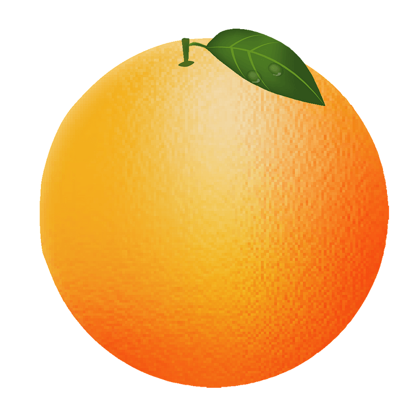 Detail Orange Fruit Clipart Nomer 17