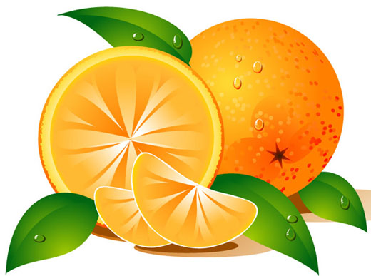 Detail Orange Fruit Clipart Nomer 18