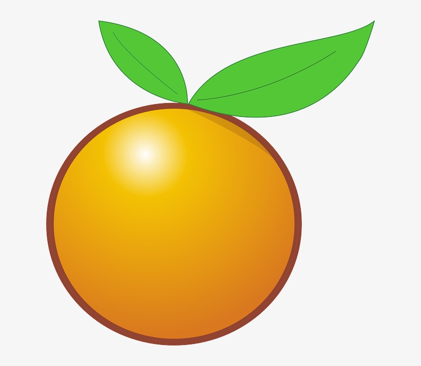 Detail Orange Fruit Clipart Nomer 27