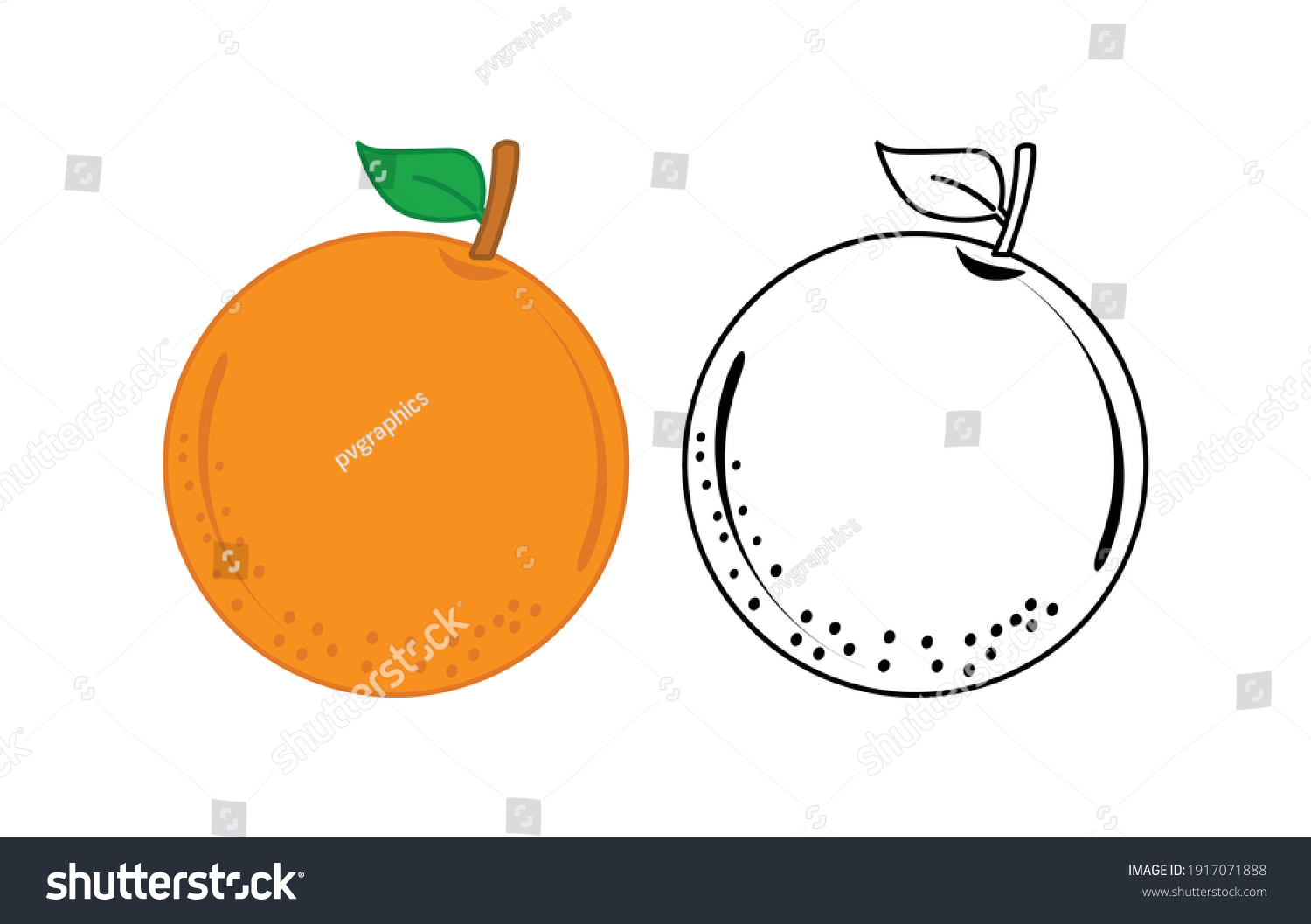 Detail Orange Fruit Clipart Nomer 28