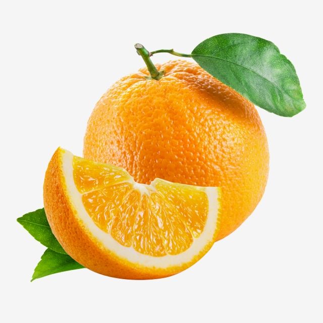 Detail Orange Fruit Clipart Nomer 29