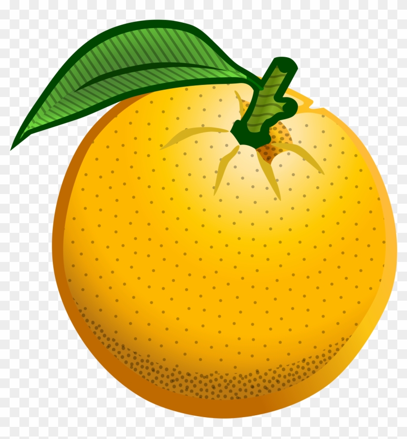 Detail Orange Fruit Clipart Nomer 30