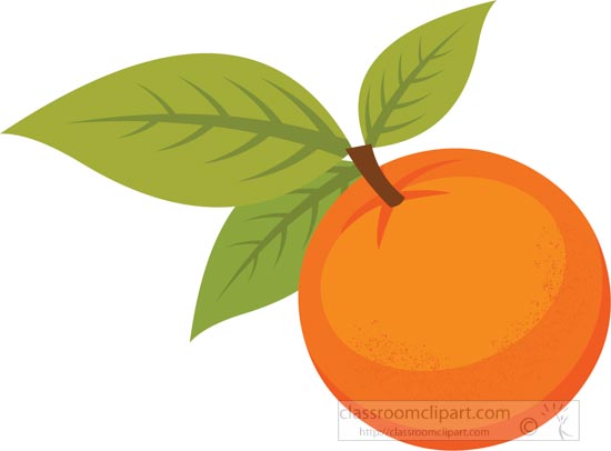 Detail Orange Fruit Clipart Nomer 42