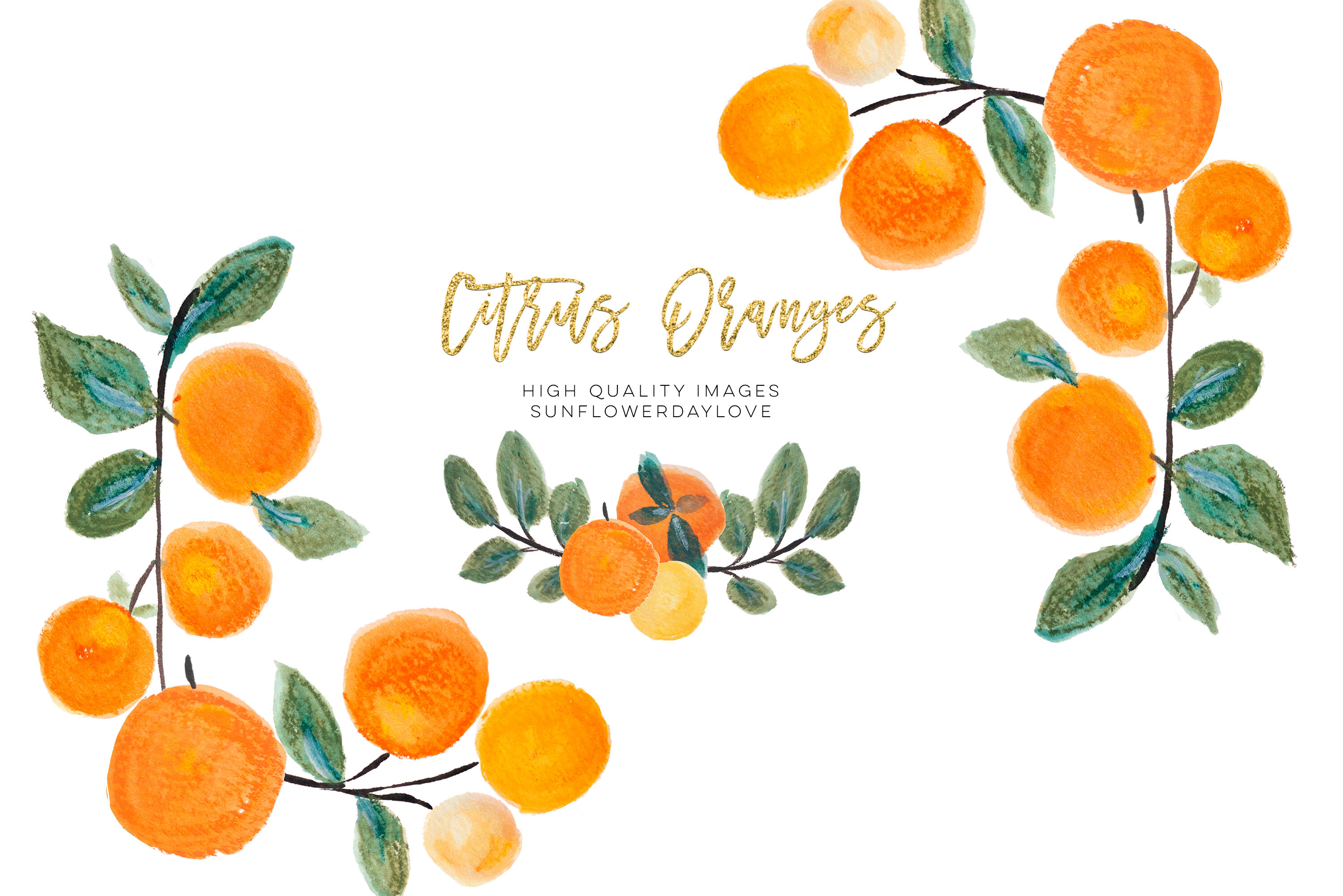 Detail Orange Fruit Clipart Nomer 52