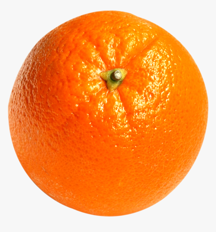 Detail Orange Fruit Png Nomer 2