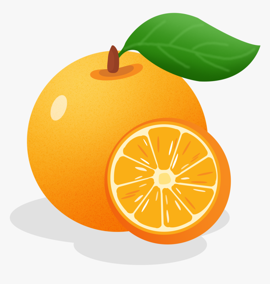 Detail Orange Fruit Png Nomer 37