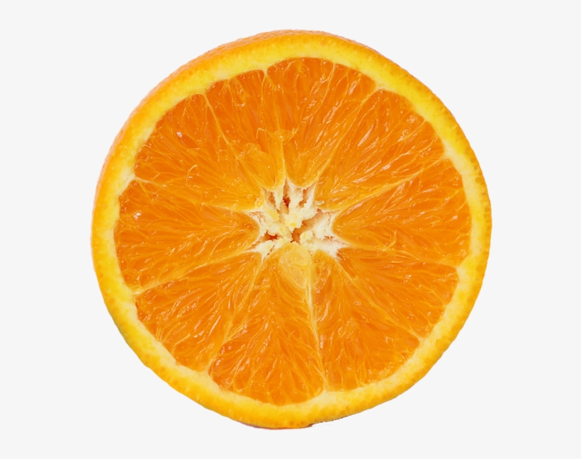 Detail Orange Fruit Png Nomer 51