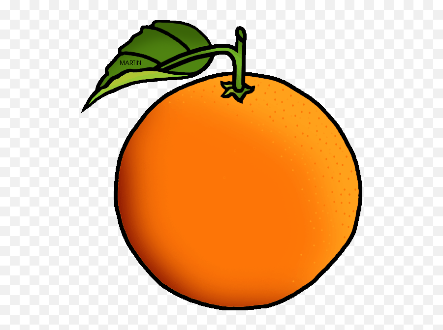 Detail Orange Fruit Png Nomer 55