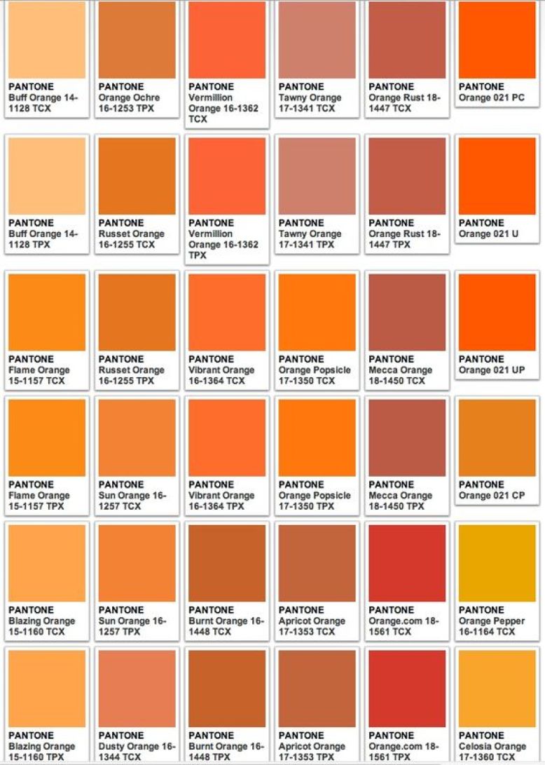 Detail Orange Muda Nomer 2