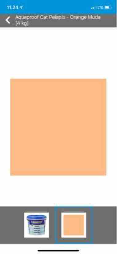 Detail Orange Muda Nomer 13