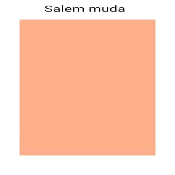 Detail Orange Muda Nomer 36