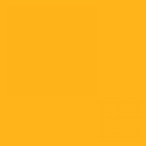 Detail Orange Muda Nomer 5