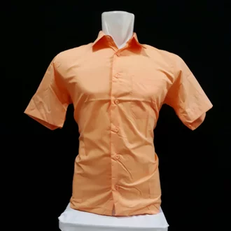 Detail Orange Muda Warna Nomer 51