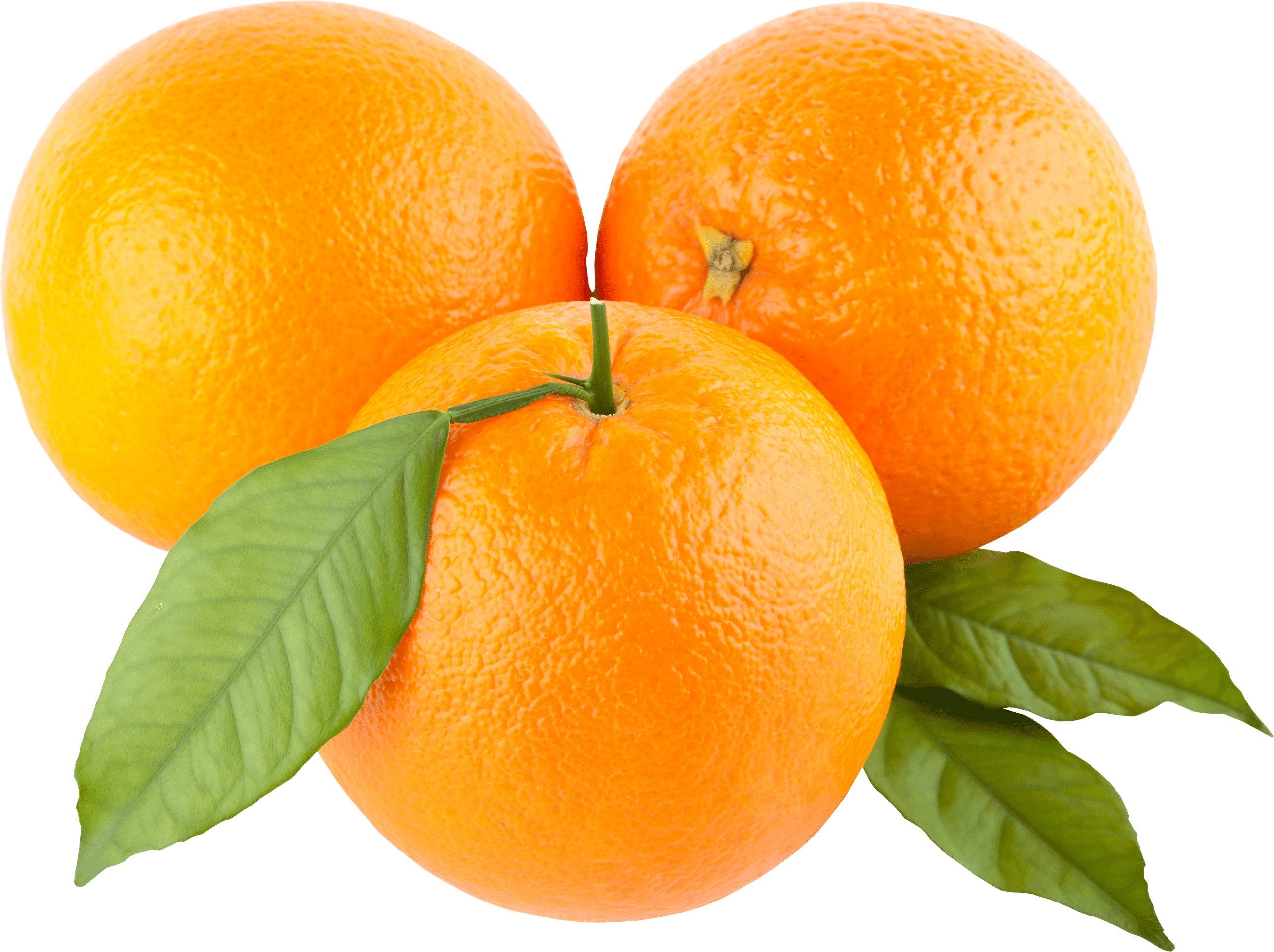 Detail Orange No Background Nomer 9