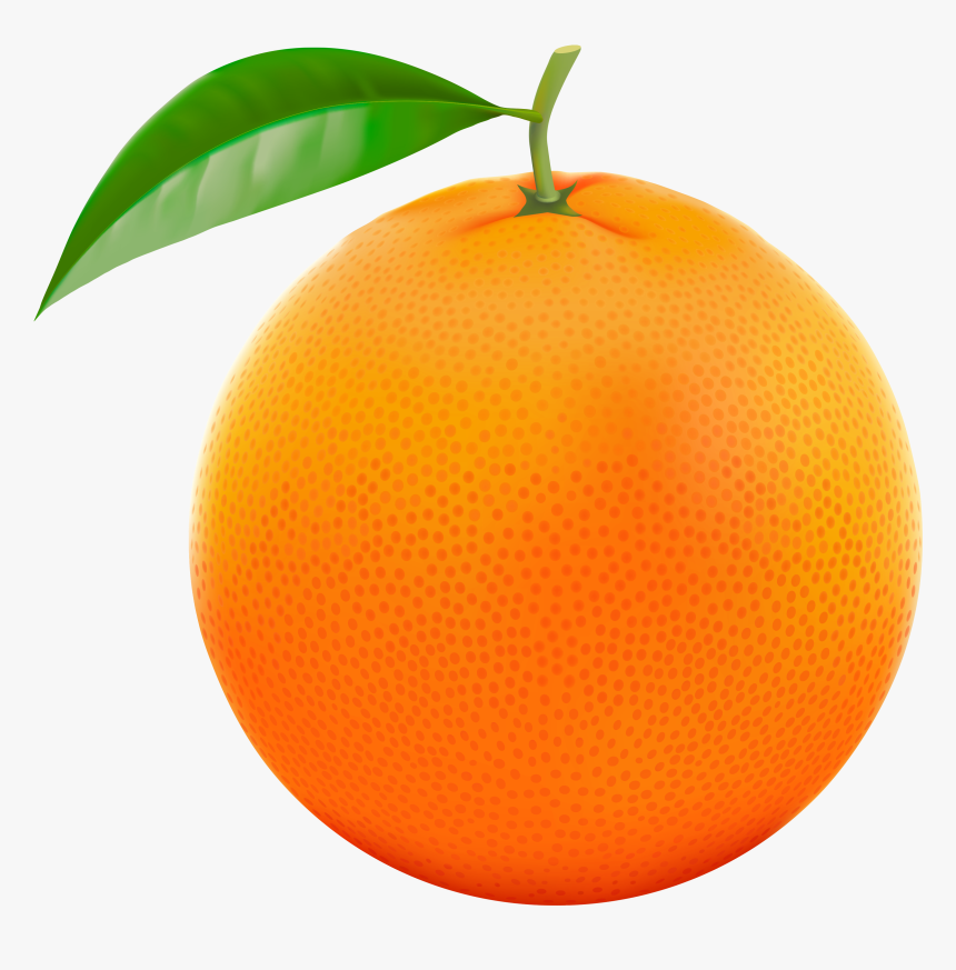 Detail Orange No Background Nomer 2
