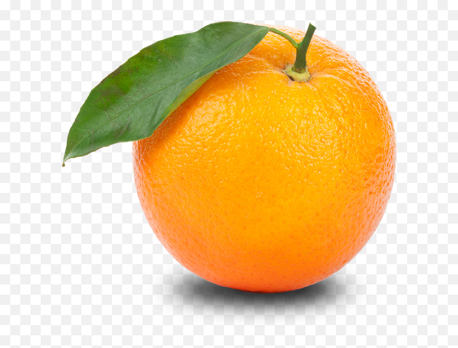 Detail Orange No Background Nomer 19