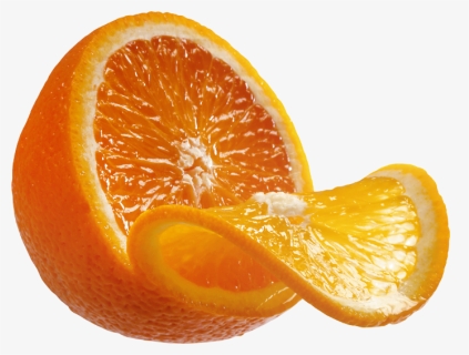 Detail Orange No Background Nomer 24