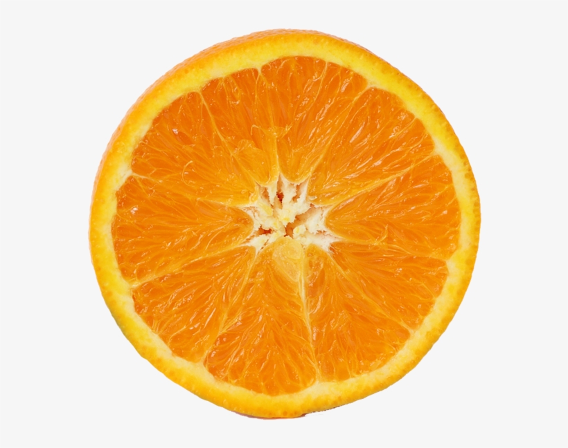 Detail Orange No Background Nomer 26